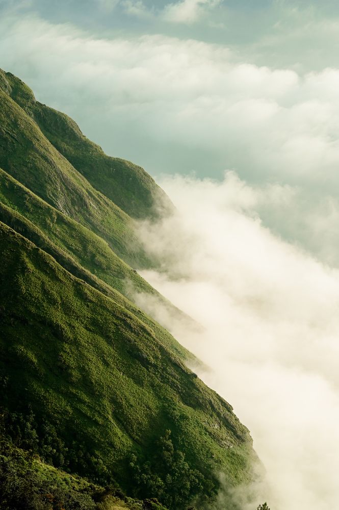 Photograph by Muhammed Junaid A P