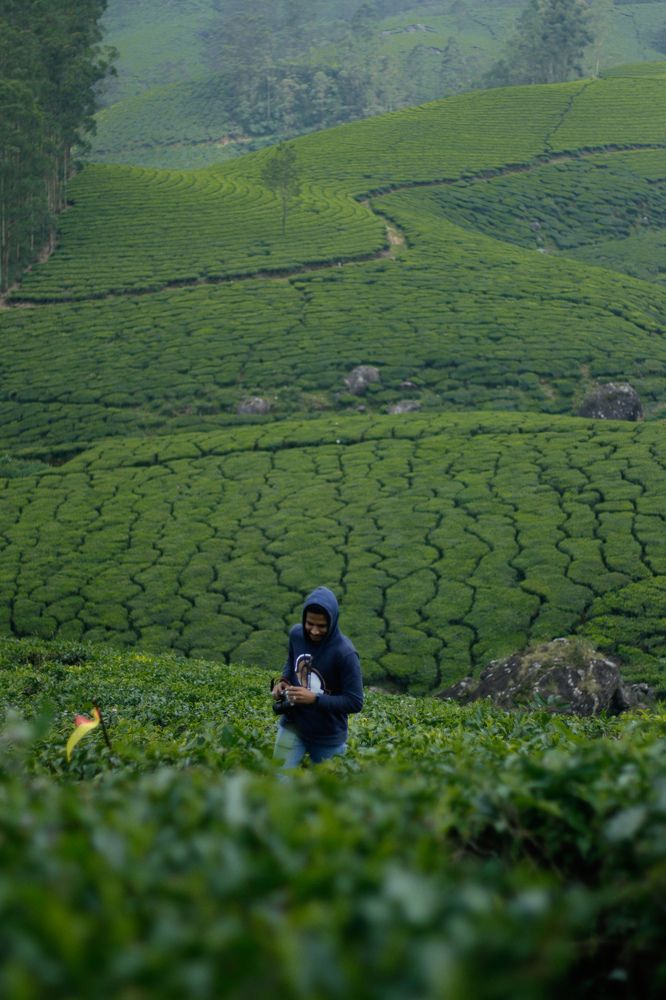 Photograph by Muhammed Junaid A P