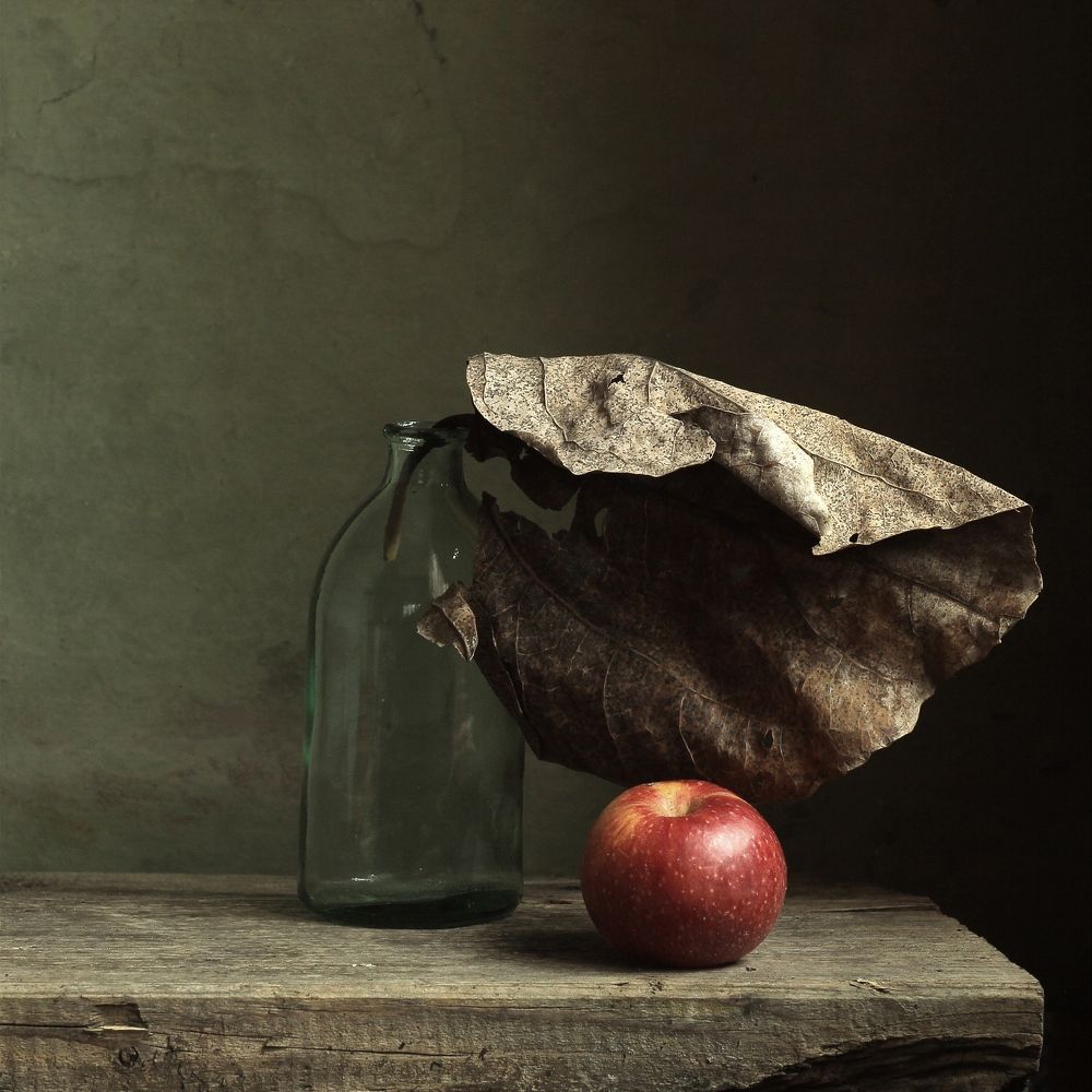 Photograph by Евсеева Валентина