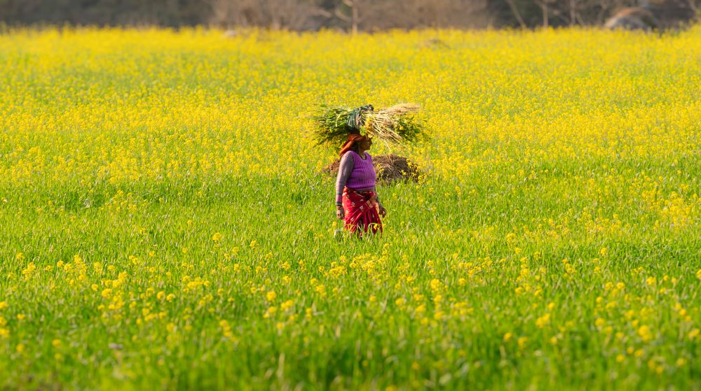 Photograph by Janoti Digvijay singh