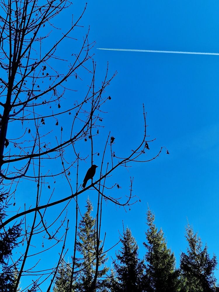 Фотография автора Maryna Pytliak