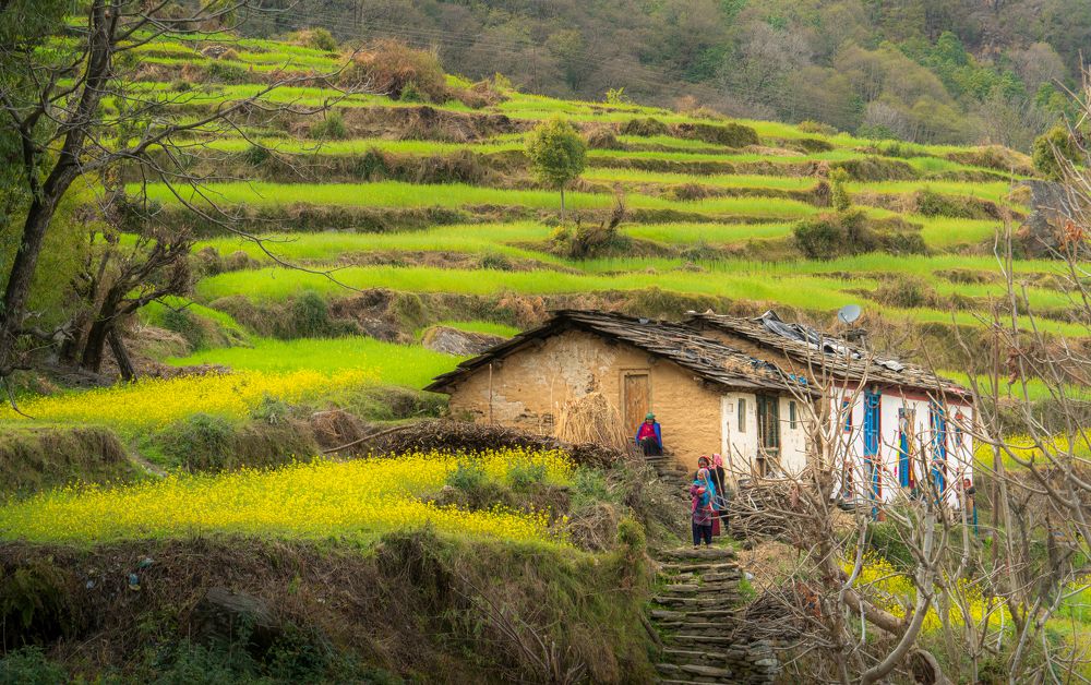 Photograph by Janoti Digvijay singh