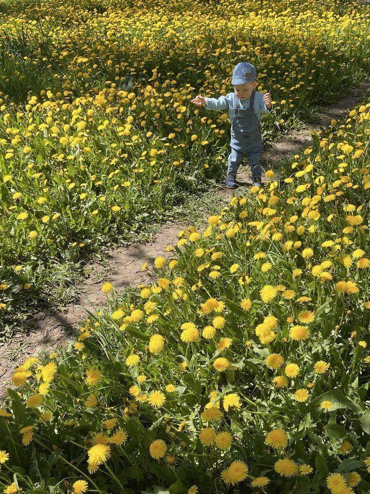 Photograph by Елена Седова