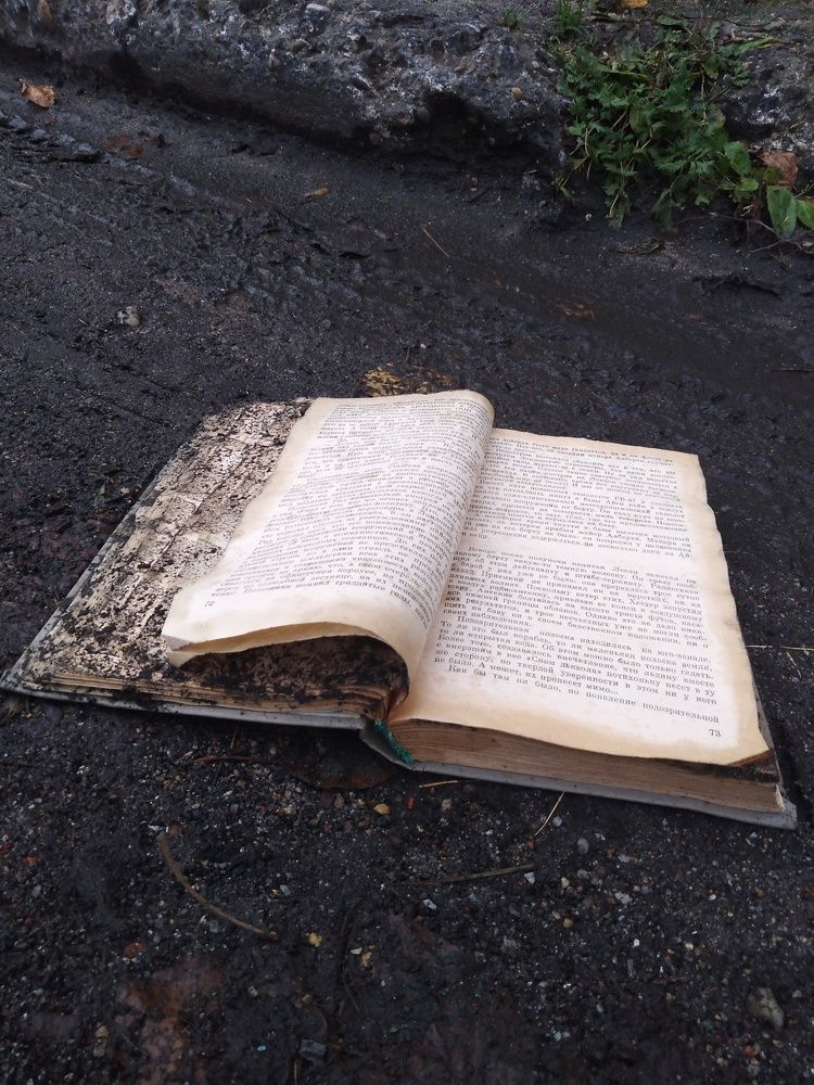 Фотография автора Екатерина Пачина