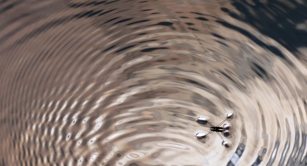 Photograph by Андрей Осмоловский