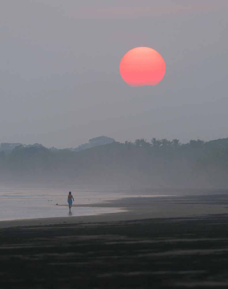 Нвастречу солнцу