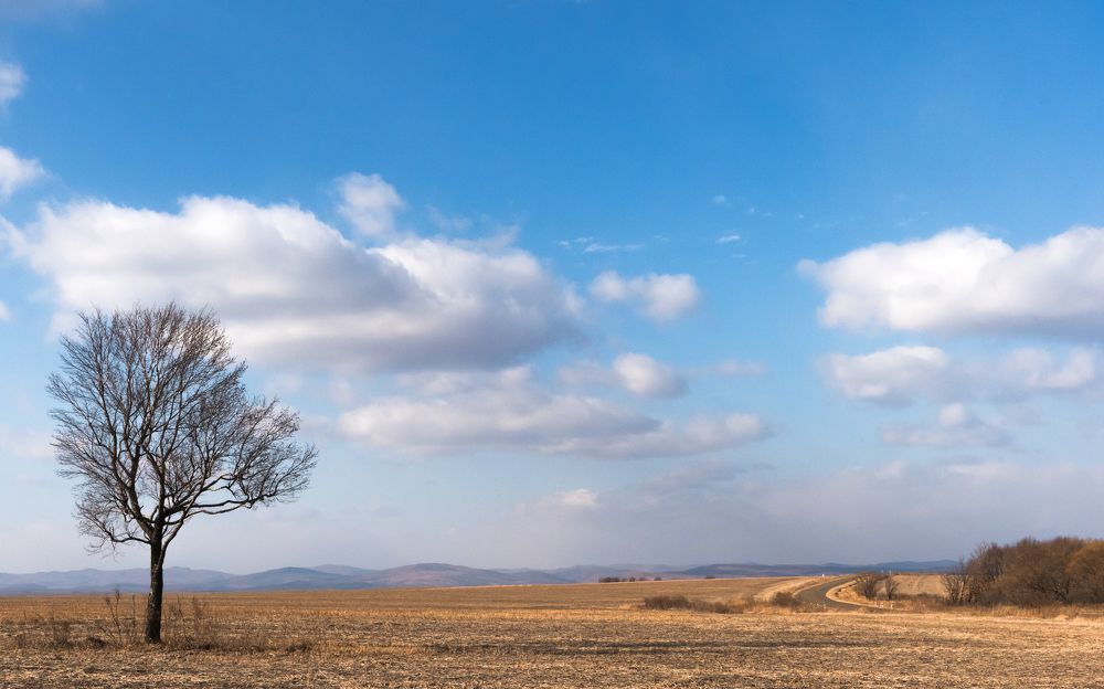 Photograph by константин