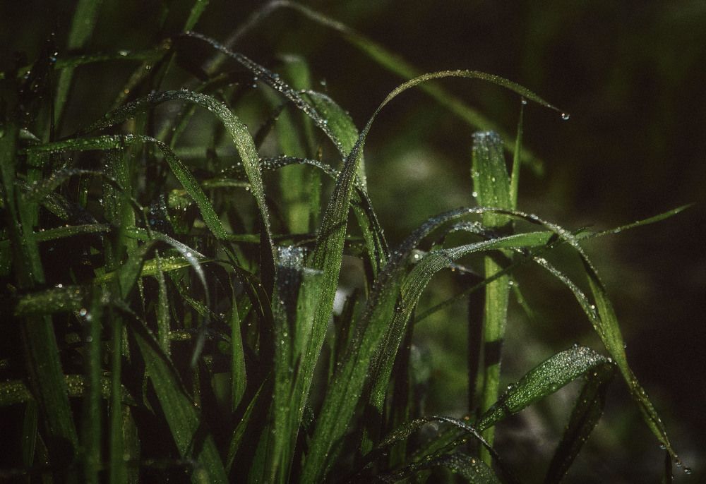 Photograph by Юлия Лушникова