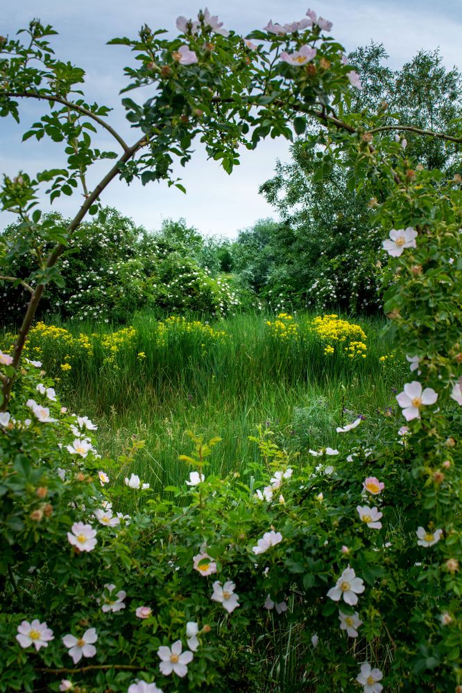 Photograph by Елена Плотникова