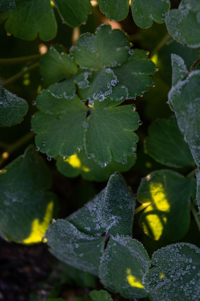 Photograph by Елена Плотникова