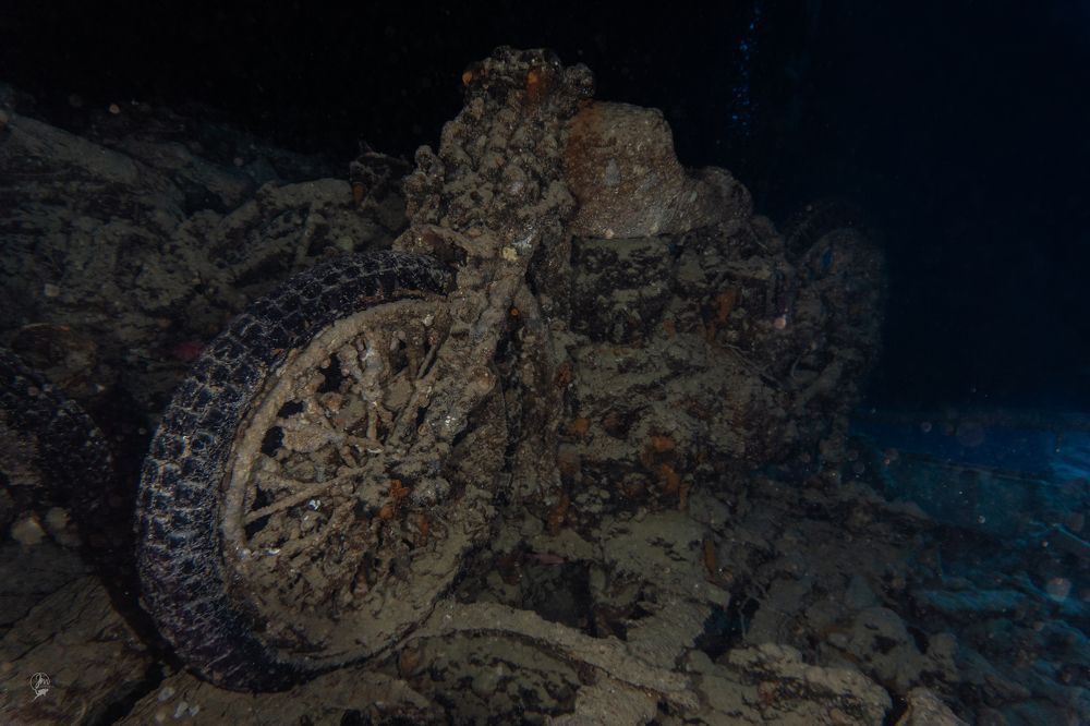 Photograph by JUAN M GUZMÁN