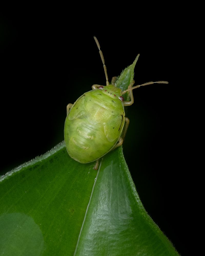 Photograph by Rachana madhav