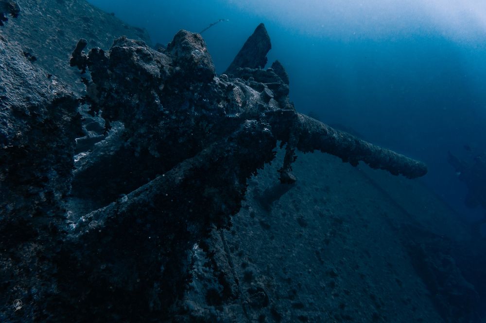 Photograph by JUAN M GUZMÁN