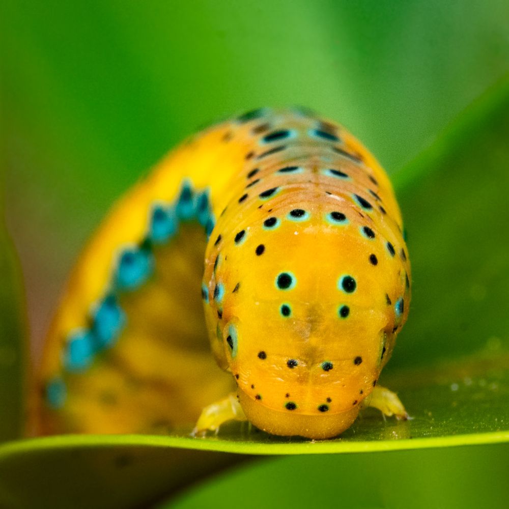 Photograph by Rachana madhav