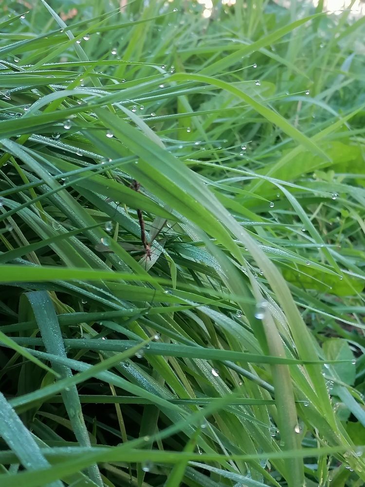 Photograph by Галина Карманова