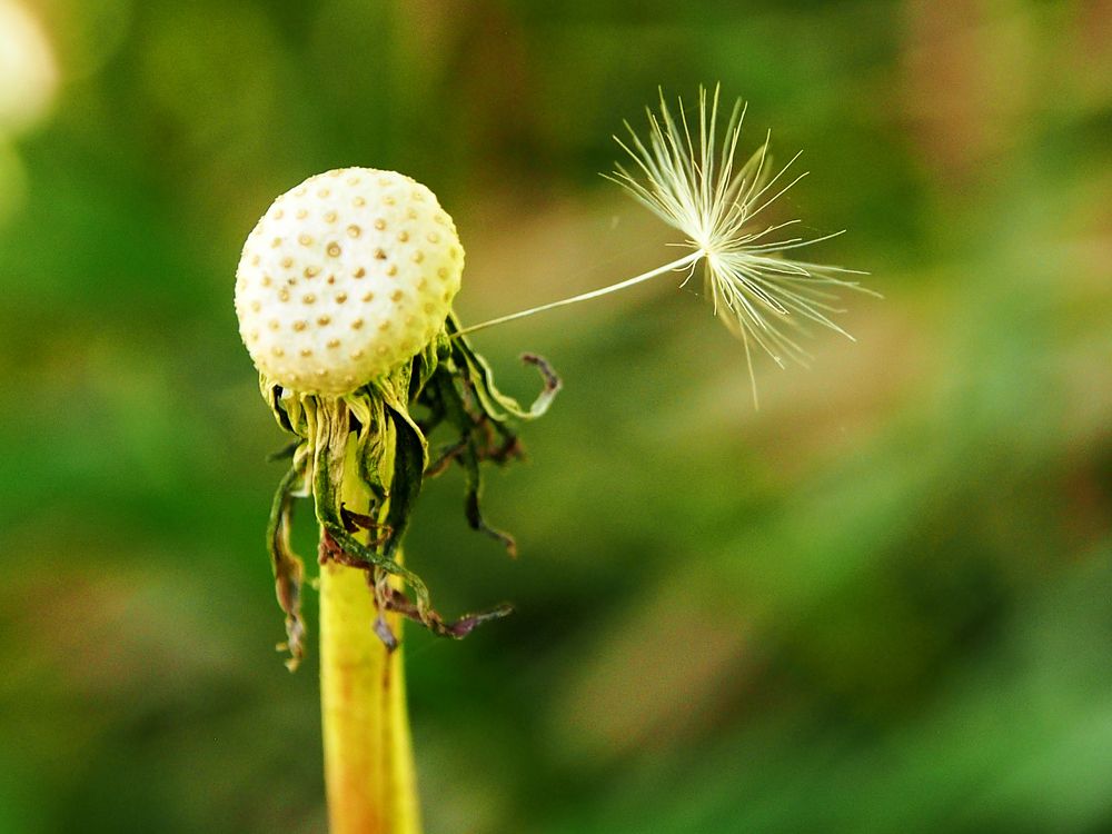 Photograph by Abdolreza Aleagha