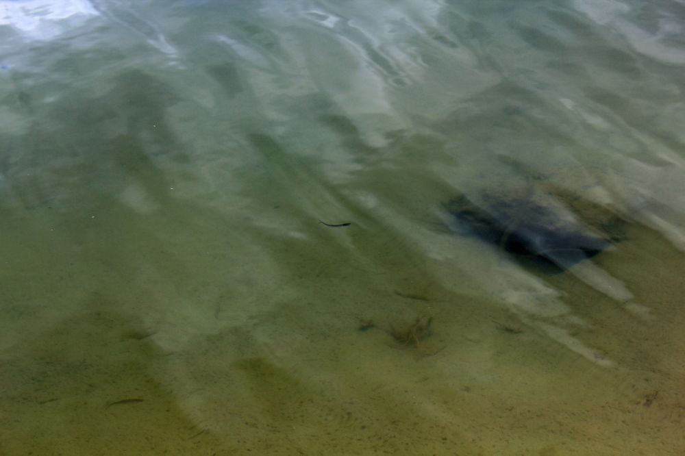 Photograph by Olga Bagaeva