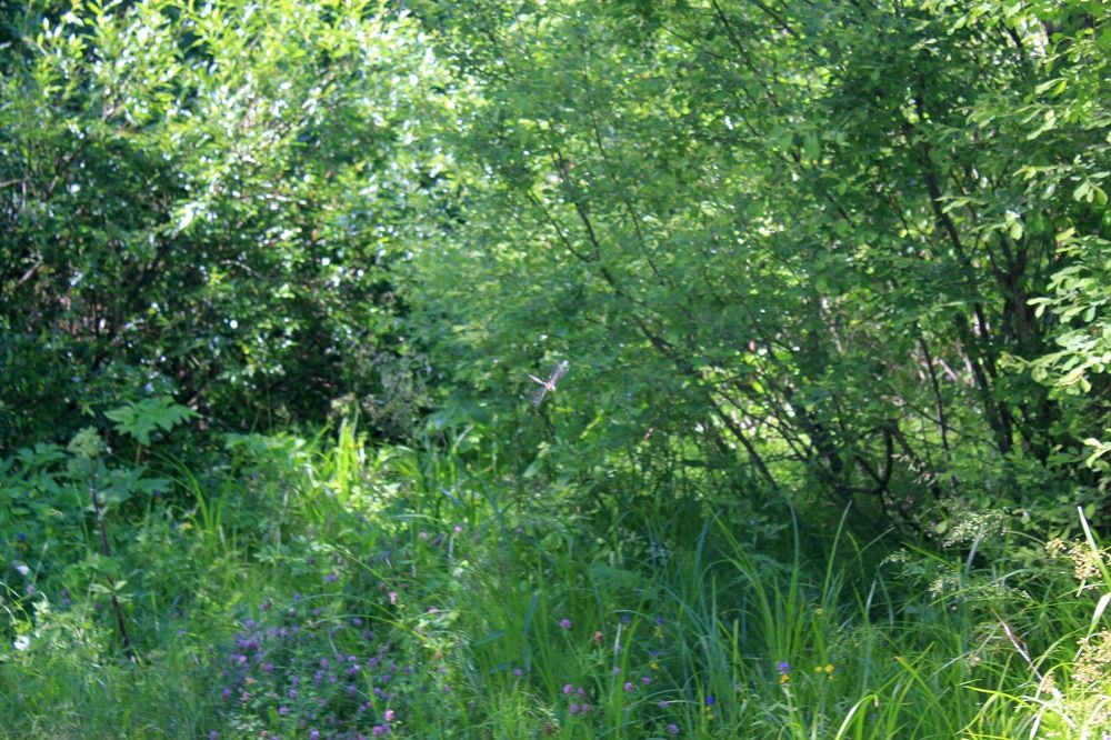 Photograph by Olga Bagaeva