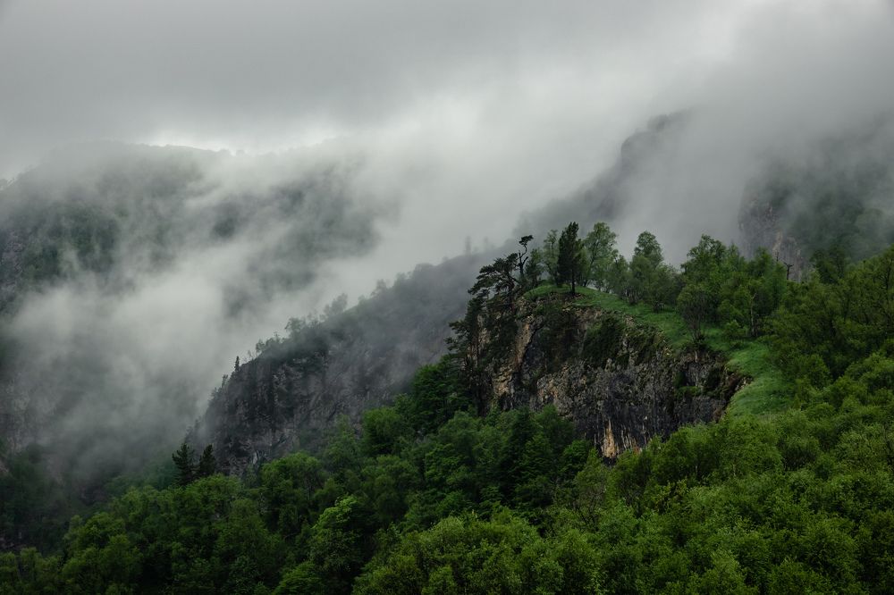 Photograph by Шишкалов Константин