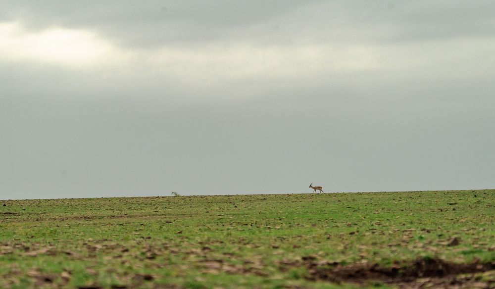 Photograph by Nikhil Parnandi