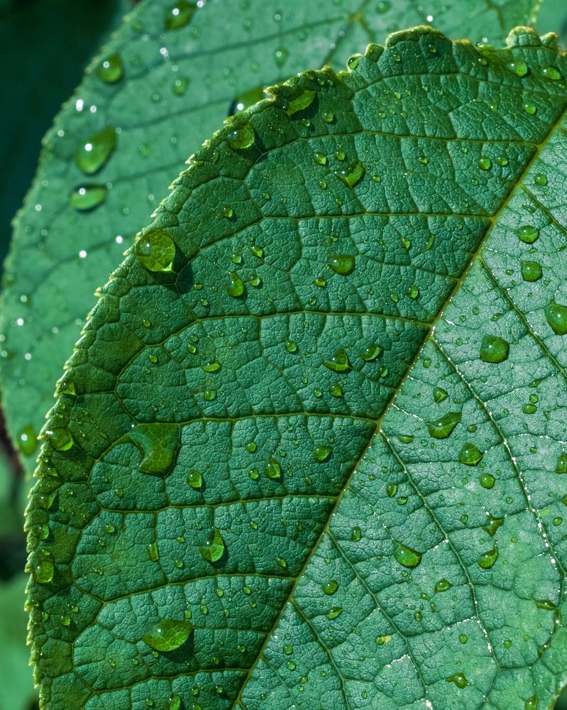 Photograph by Николай Головко