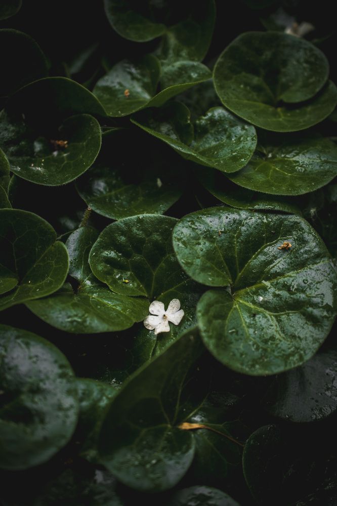 Photograph by Николай Головко