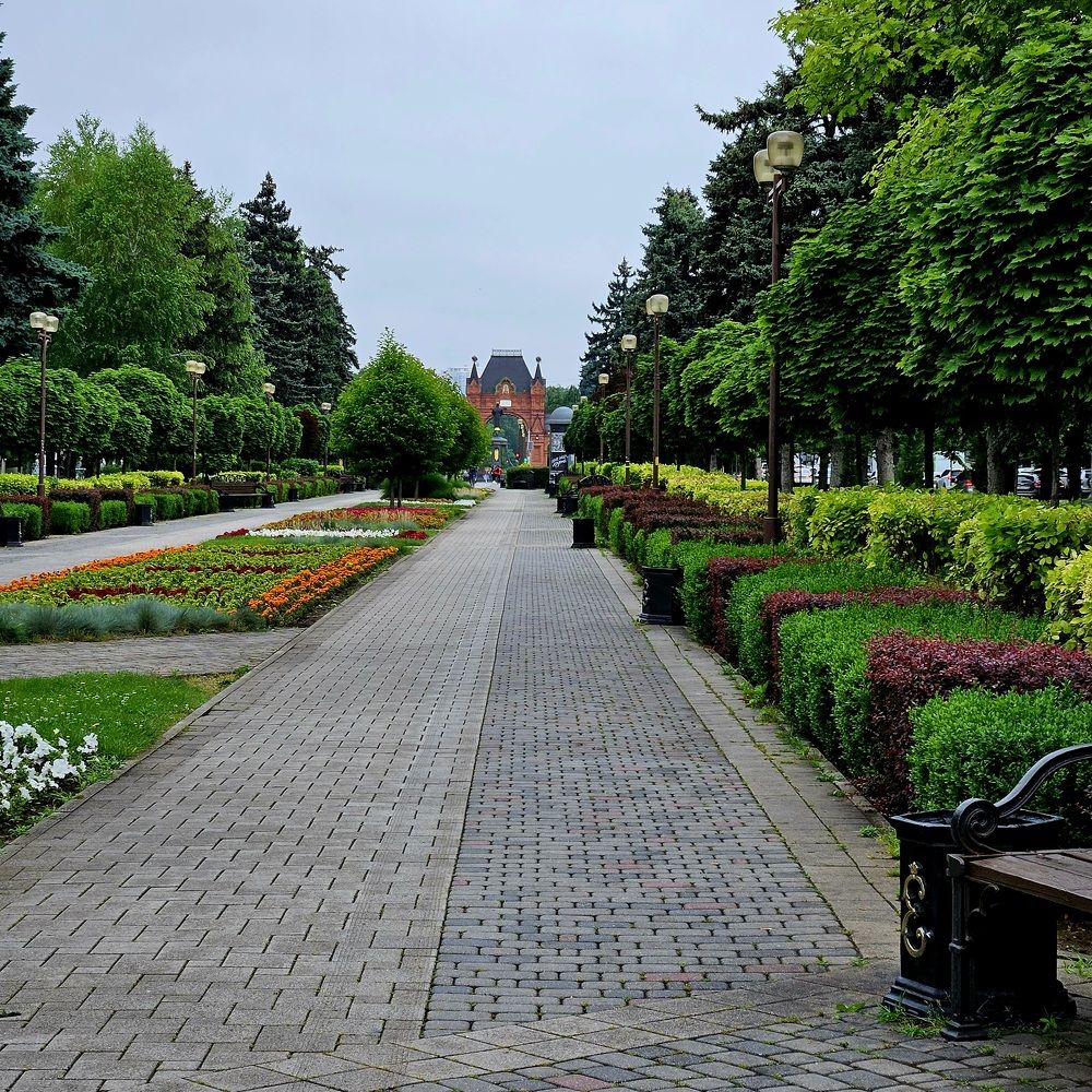 Photograph by Sofia Koshman