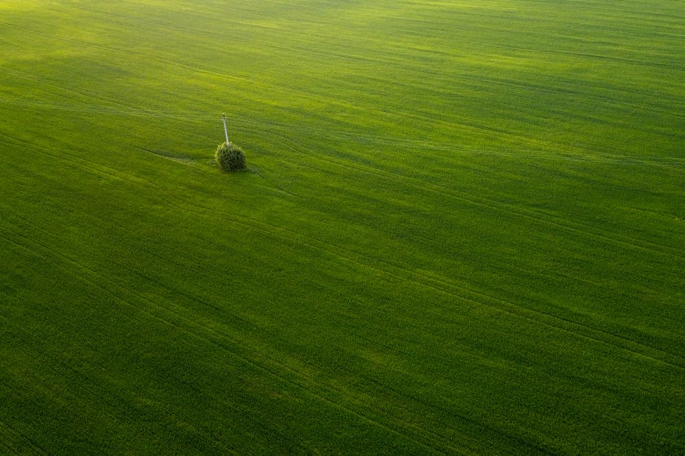 Photograph by Андрей Малыгин