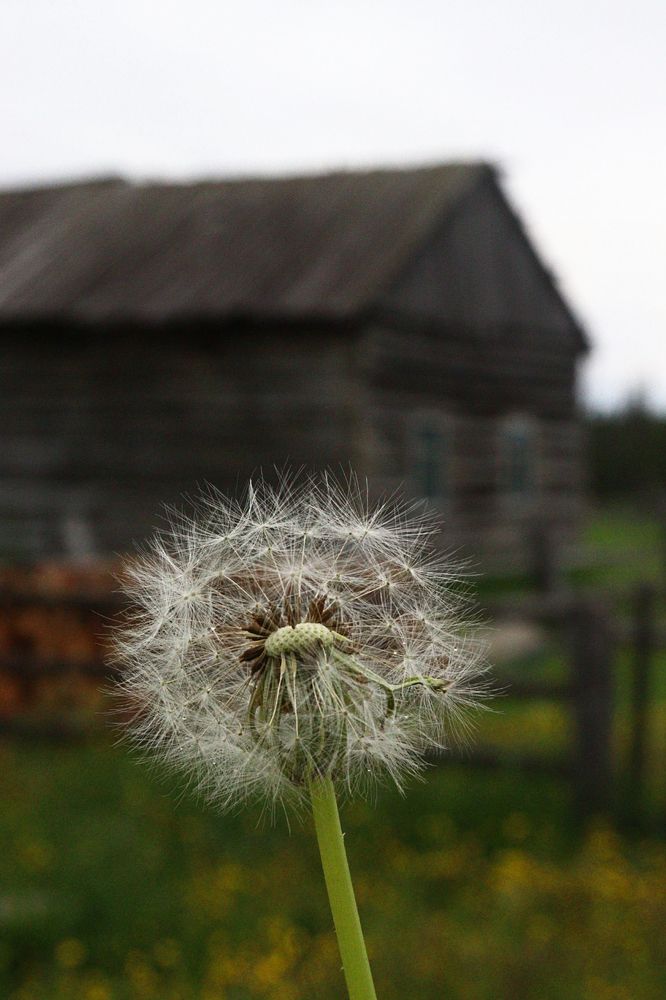 «Там, где живёт душа»