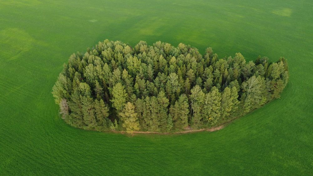 Photograph by Андрей Малыгин