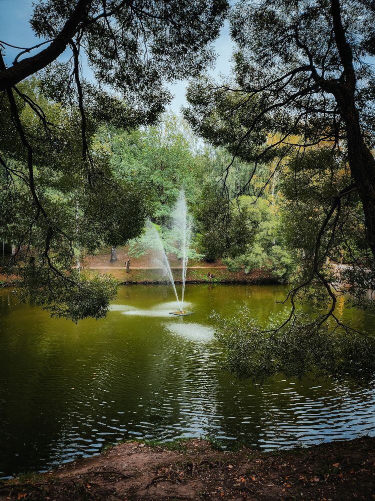 Photograph by Элен Пройс