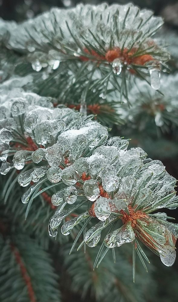 Фотография автора Анастасия Мамаева