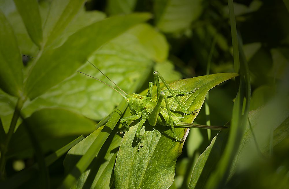 Photograph by Наталья Дроздова