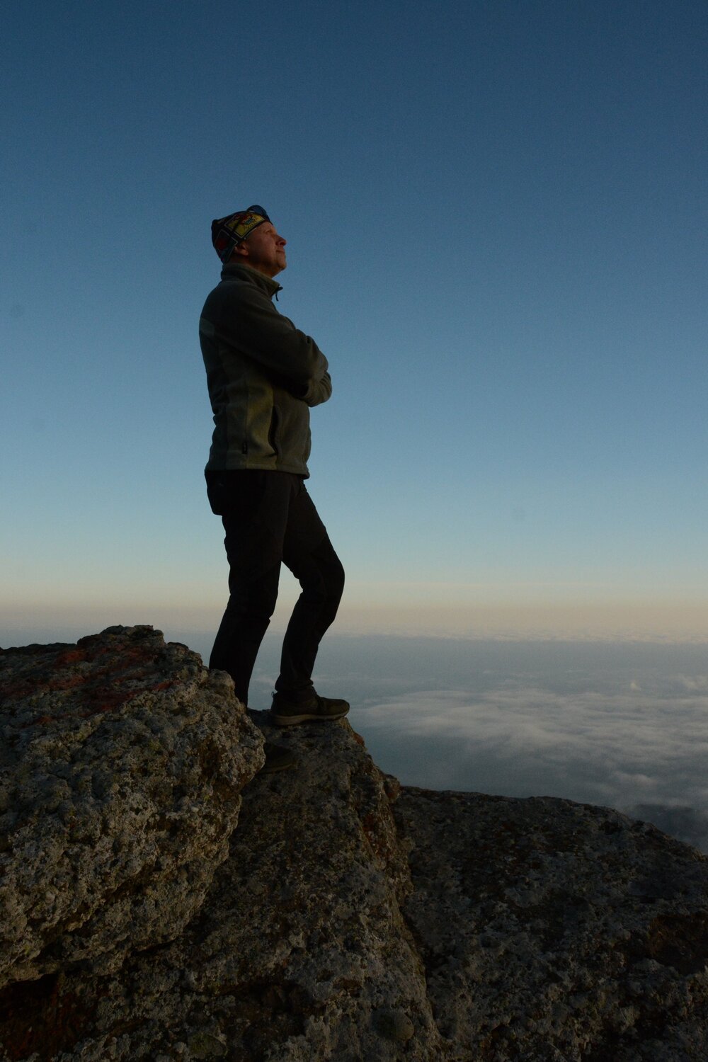 Photo #11376151
