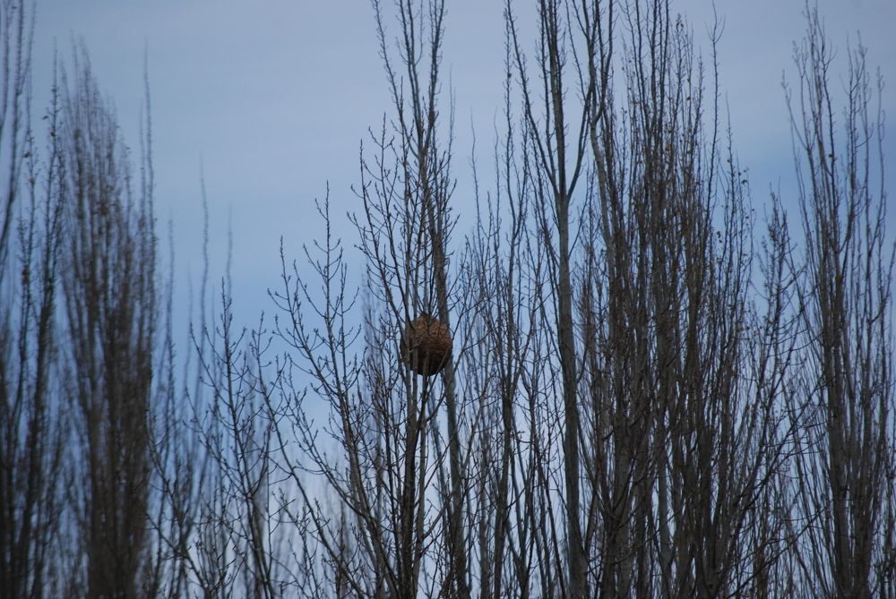 Photograph by Ishaq Karim