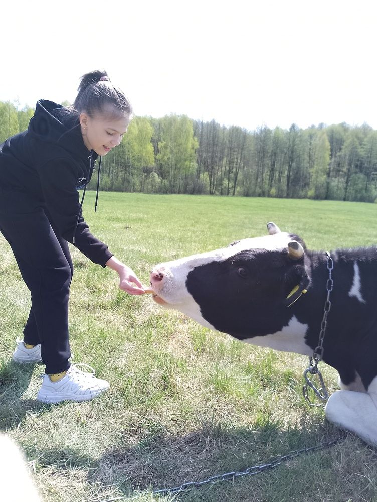 Фотография автора Михаил Бурминский