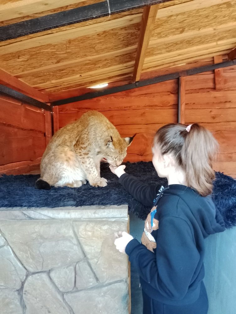 Фотография автора Михаил Бурминский