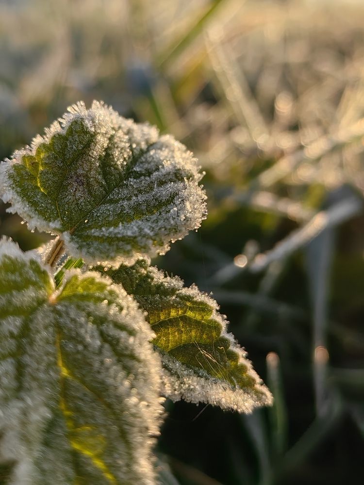 Фотография автора Ирина Петрукович