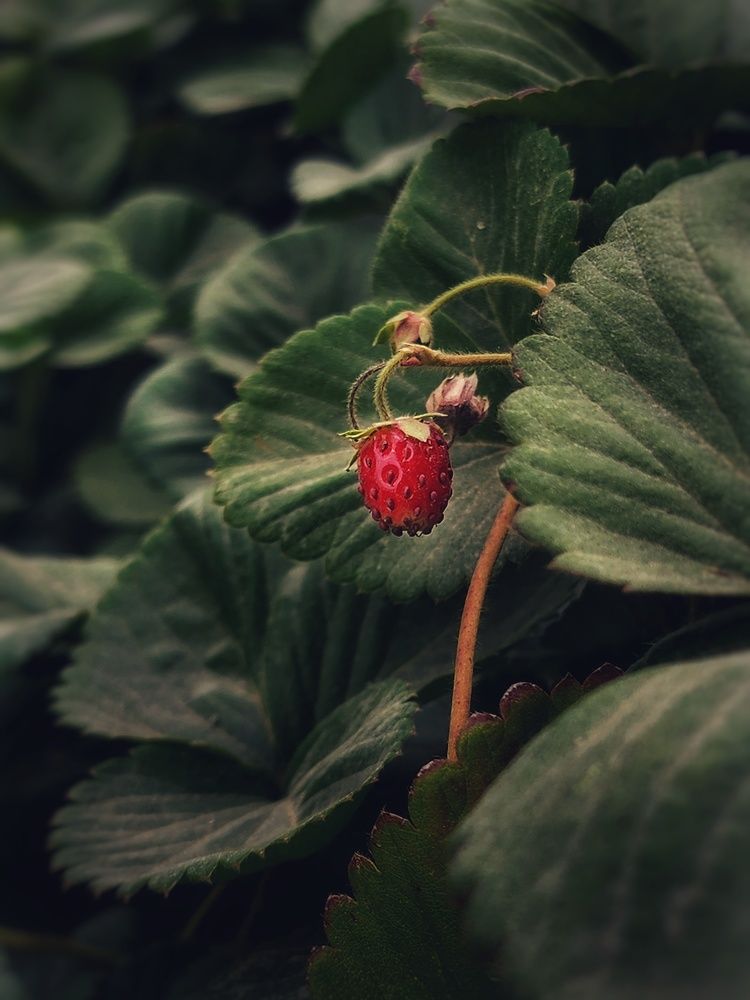 Фотография автора reyhane  khavaninzadeh