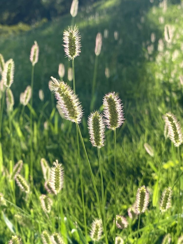 Фотография автора Ирина Бакалова