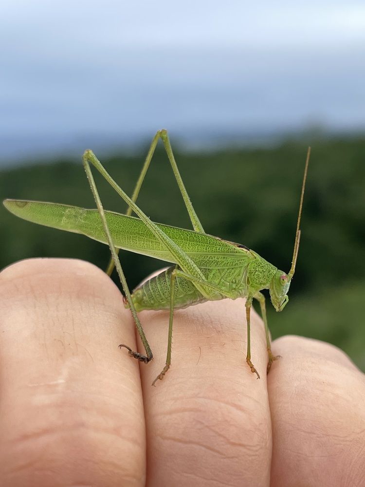 Photograph by Ольга Дорошенко