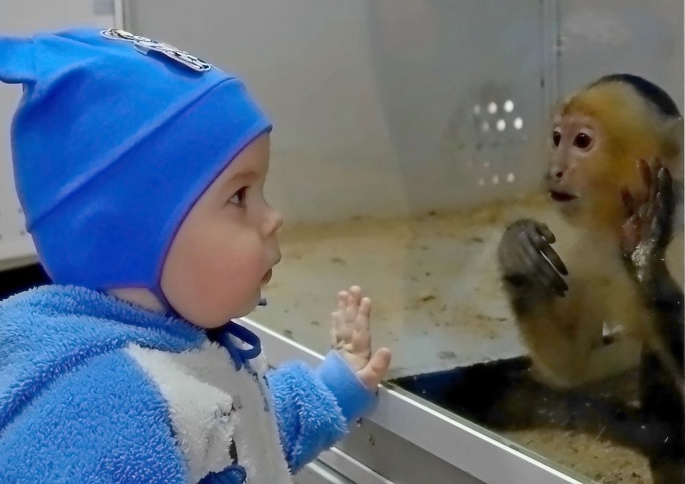 Photograph by Виктор Решетников