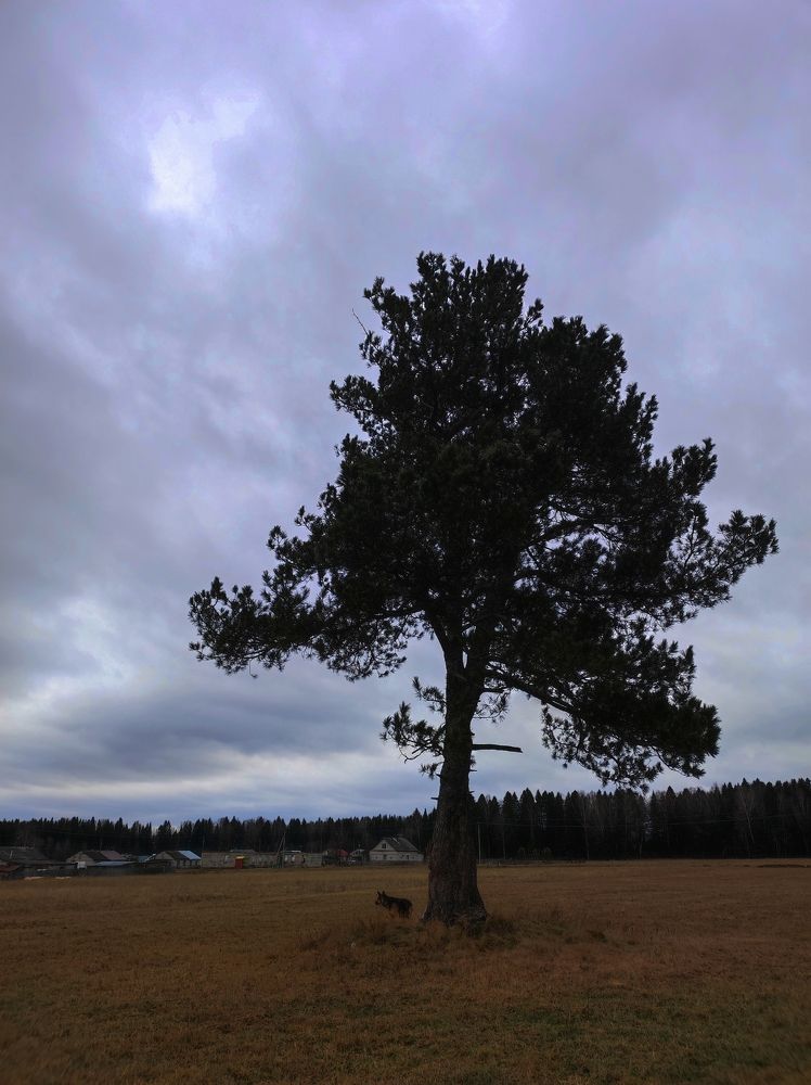 Photograph by Алиса Ермолаева