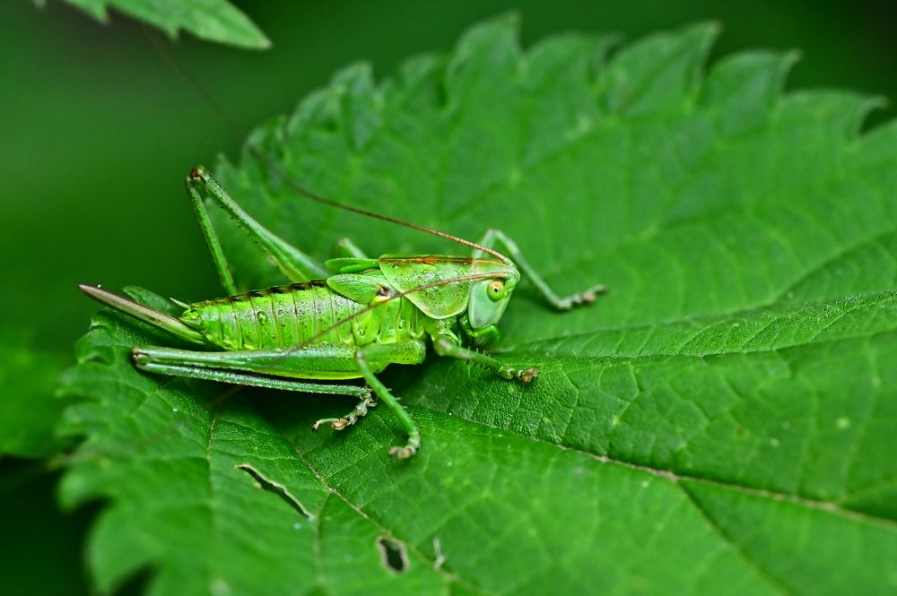 Photograph by Светлана Ивановна