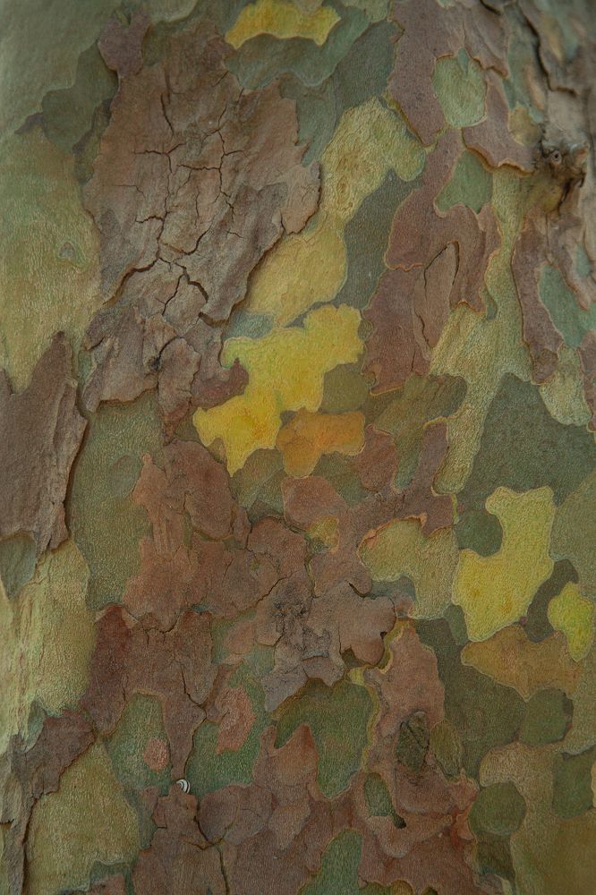 Фотография автора Оксана Антощук