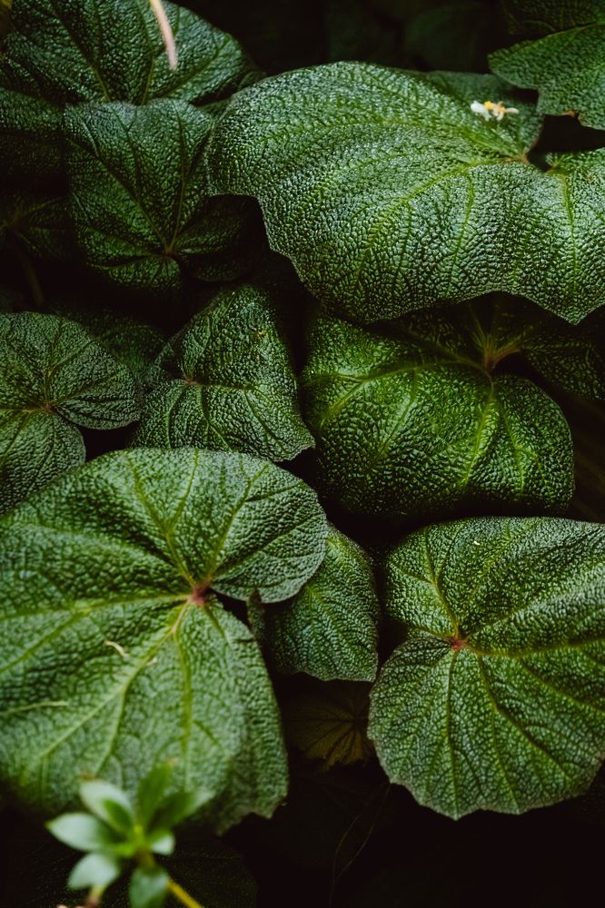 Photograph by Дулова Анастасия