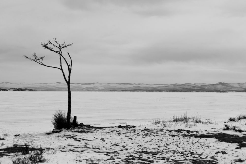 Photograph by Оксана Лоншакова