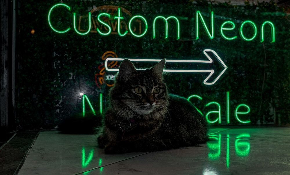 Photograph by Hakan Tunc