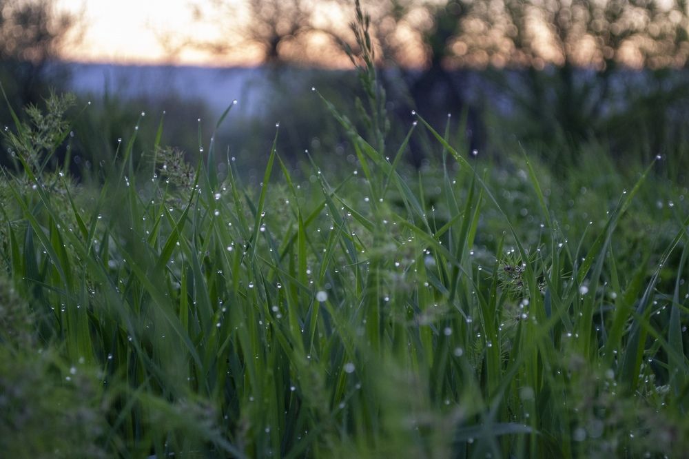 Photograph by Константин Мартынов