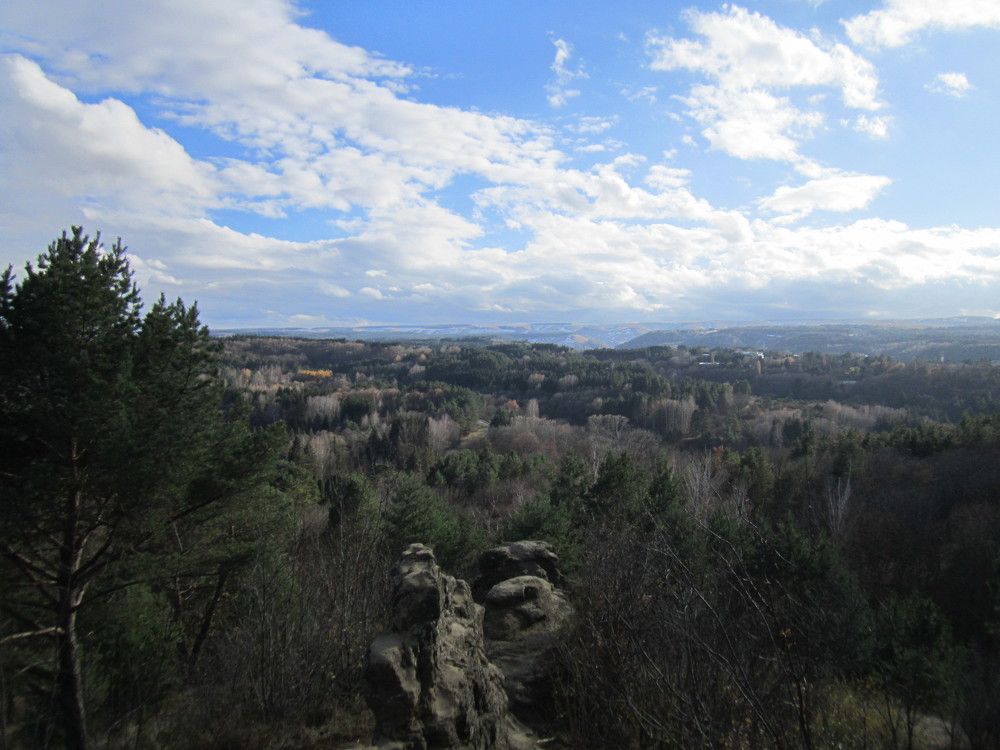 Photo #11376360